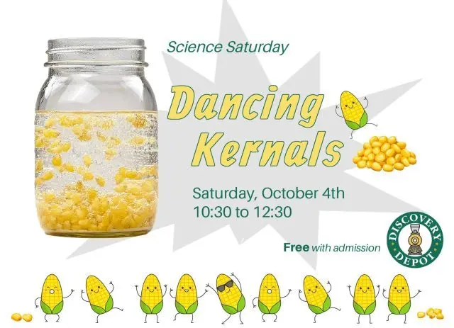 oct4_kernels-jpg