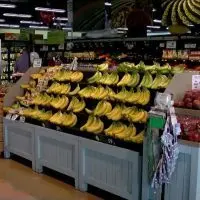 Fruits and vegetables are pictured at a County Market grocery store in Springfield. The items are eligible for purchase under the federal SNAP program. (Capitol News Illinois photo by Andrew Campbell)