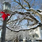 red-bows-for-holidays-150x150189369-1