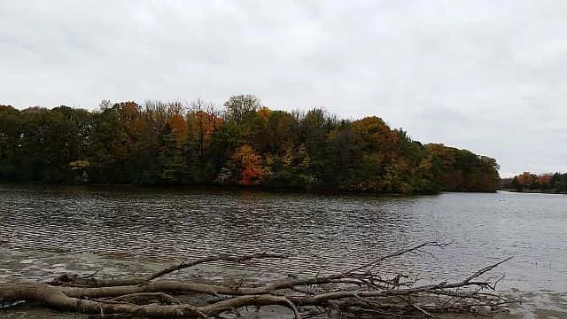 Lake Storey