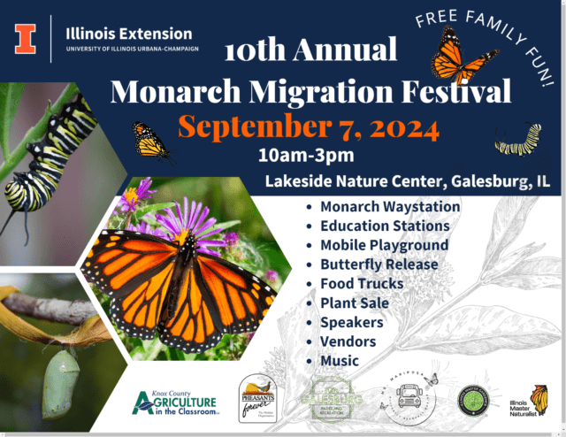 mmf-save-the-date-2024-11-x-8-5-in-png-2