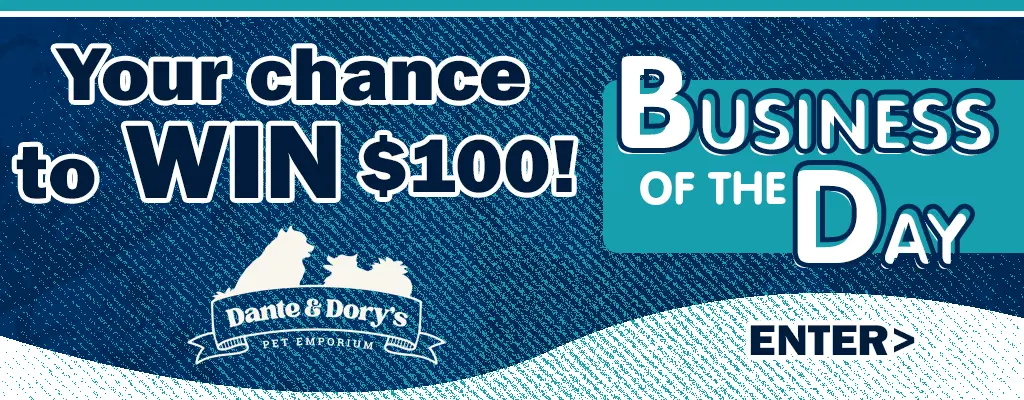 business-of-the-day_flipper_dante-dory