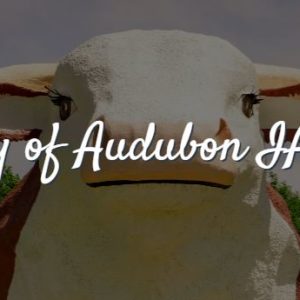 city-of-audubon-bull-300x30095068-1