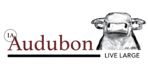 Audubon-Log