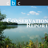 conservation-report