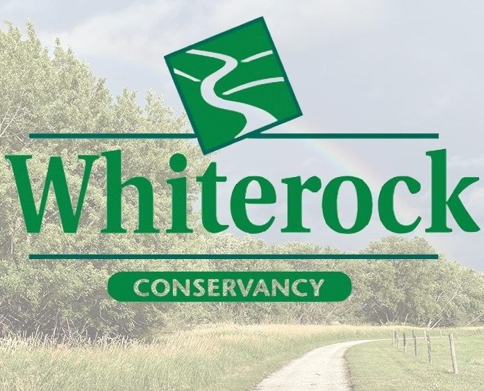 whiterock