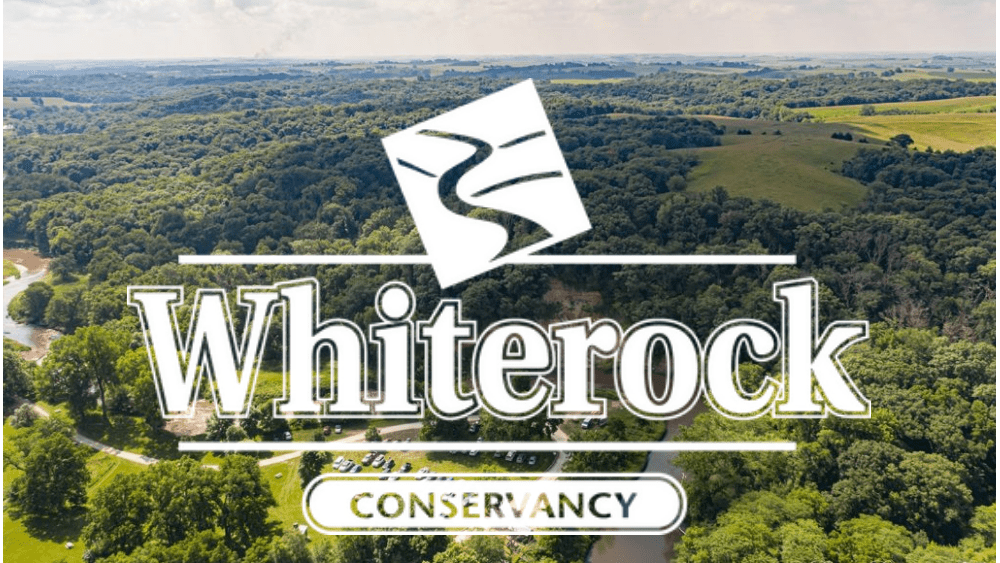 whiterock-Website-Template