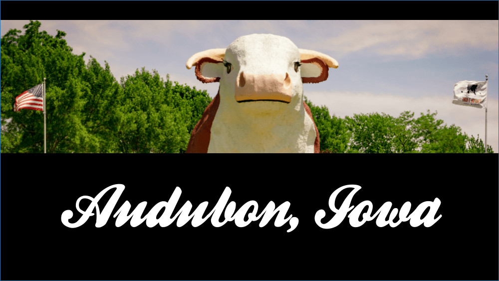 Audubon-Bull-Use-This-One