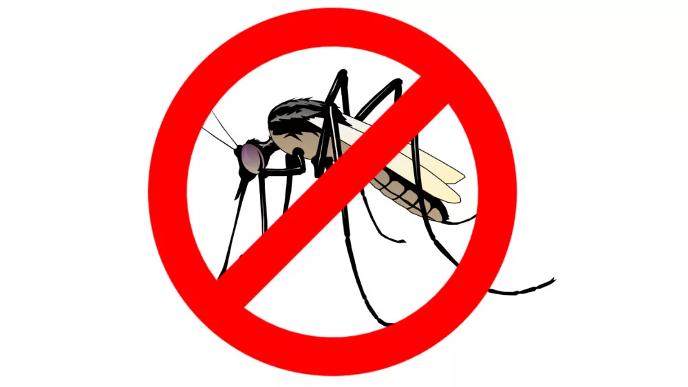 No-Mesquitos-Website-Template-High-Quality