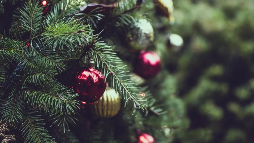 Christmas-Tree-3
