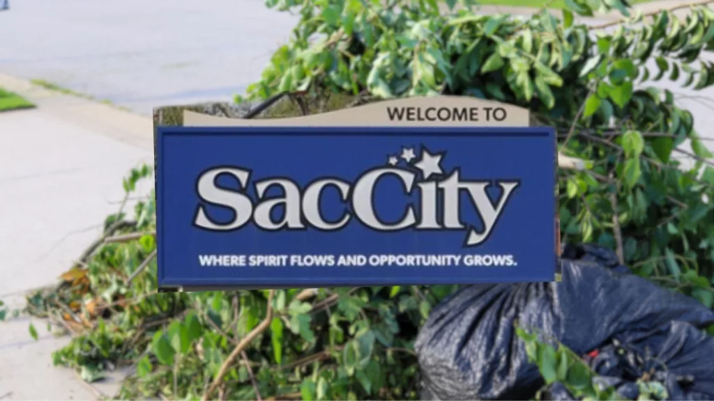 sac-city-ash-tree-debris