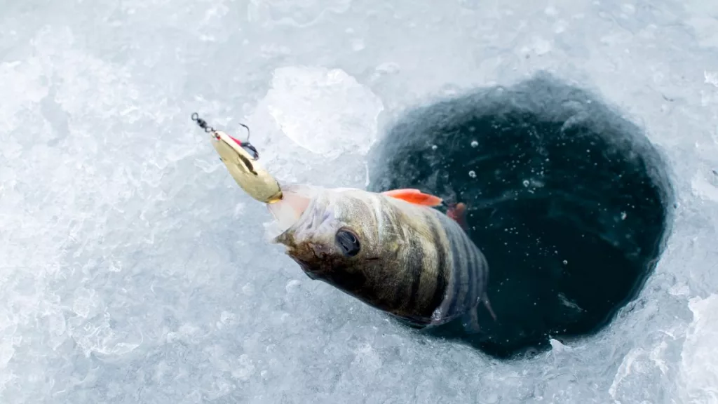 Ice-Fishing-3