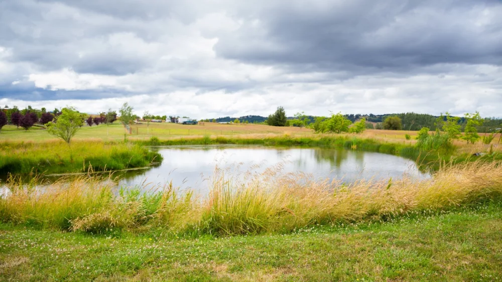 DNR Recommends Iowans Begin Spring/Summer Pond Maintenance Planning