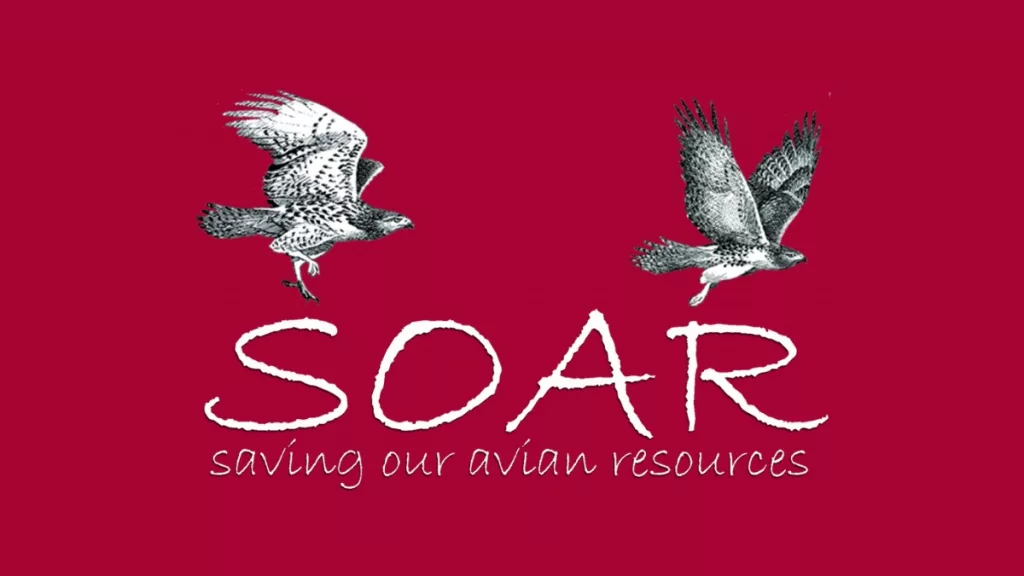 soar-logo