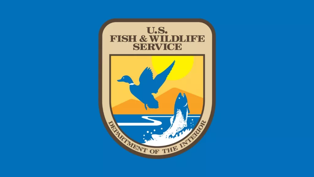 U.S. Fish & Wildlife Highlights Success Of Black Hawk Lake Restoration ...