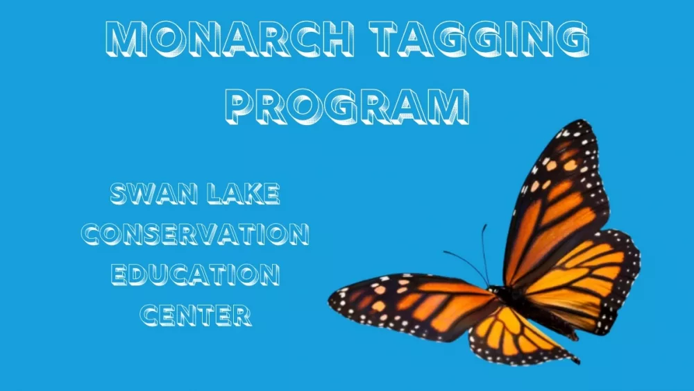 monarch-tagging-program-2024