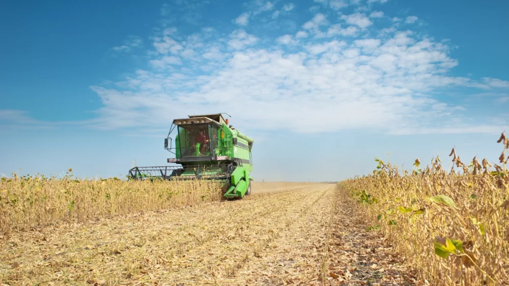 First Crops Of 2024 Harvest Recorded In USDA Report