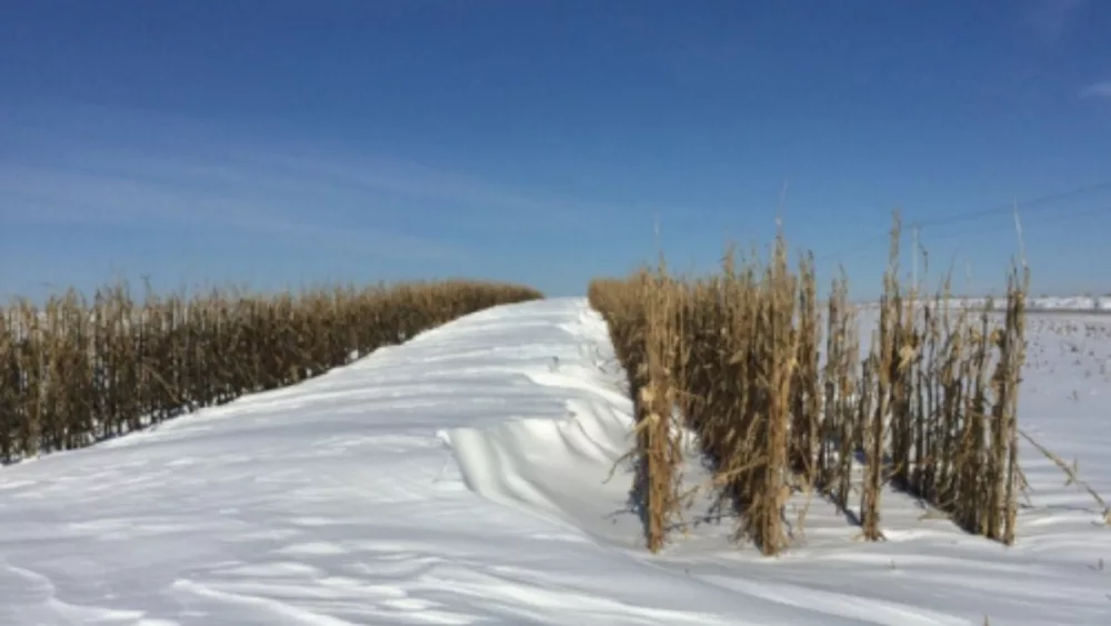 corn-snow-fence