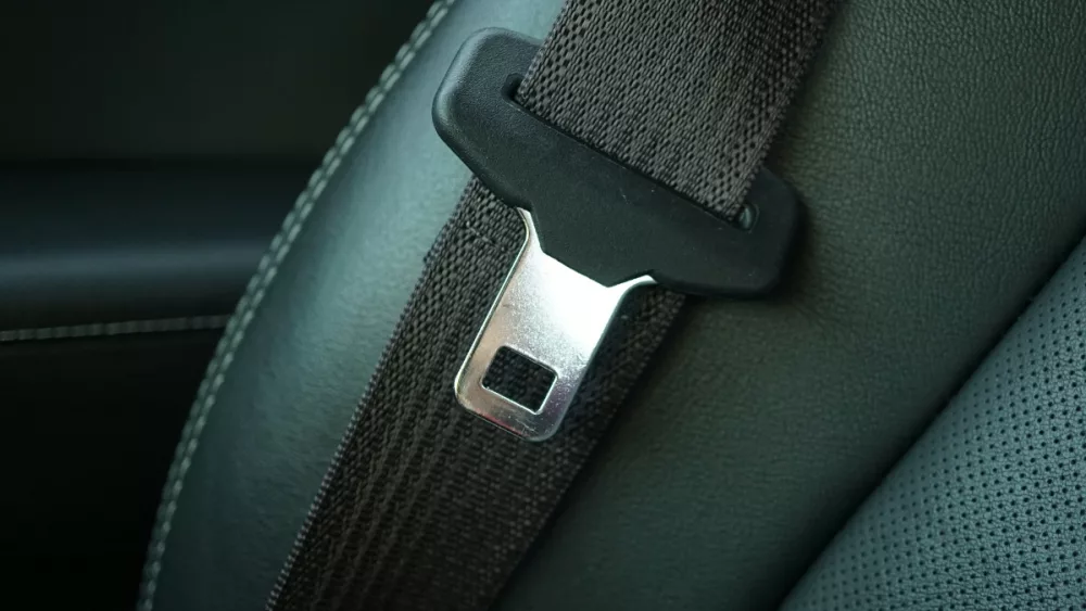 generic-seat-belt