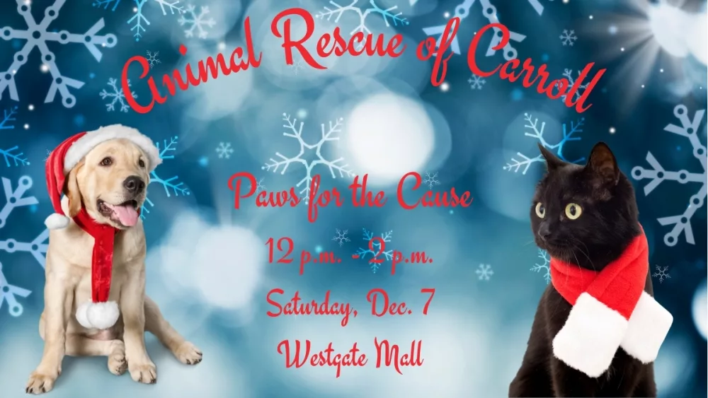 animal-rescue-of-carroll