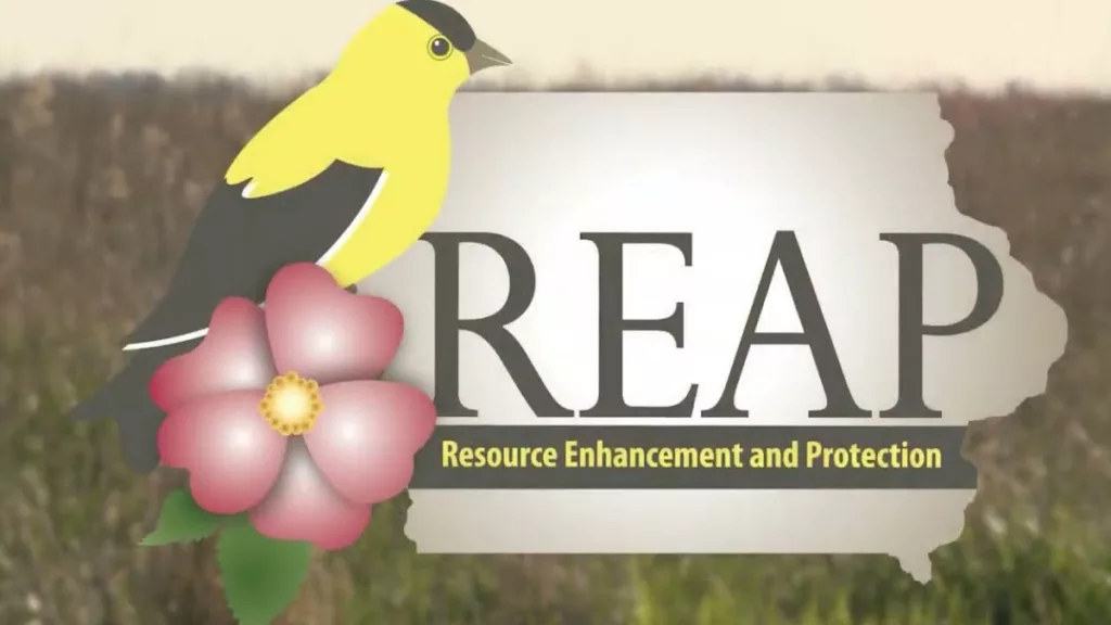 reap-grant-logo