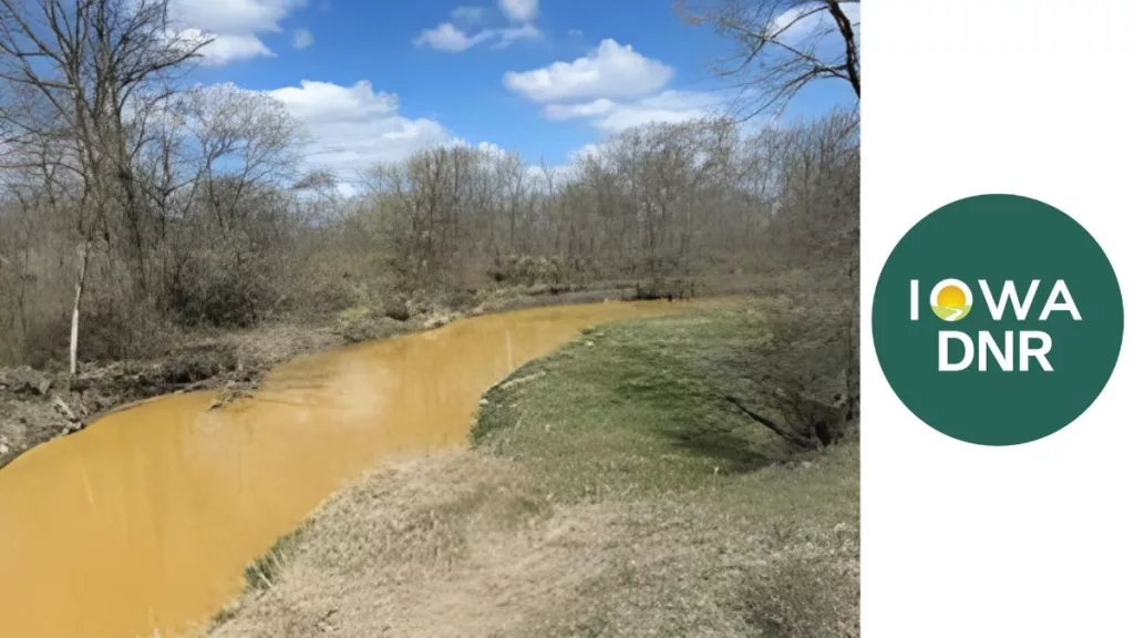 lizard-creek-2025-04-15