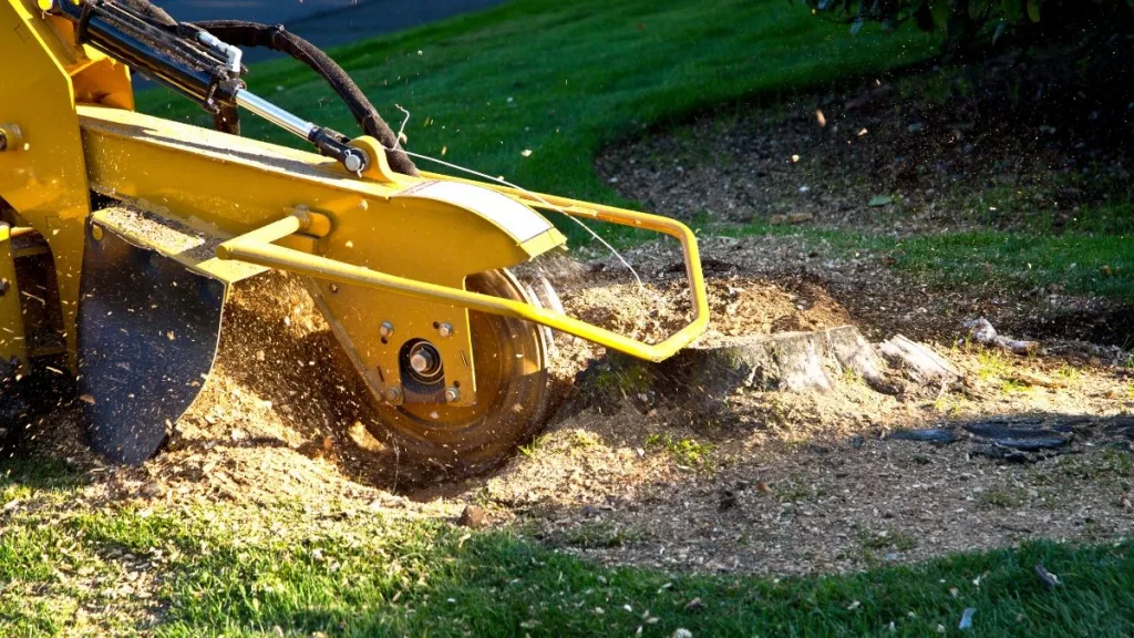 stump-grinding
