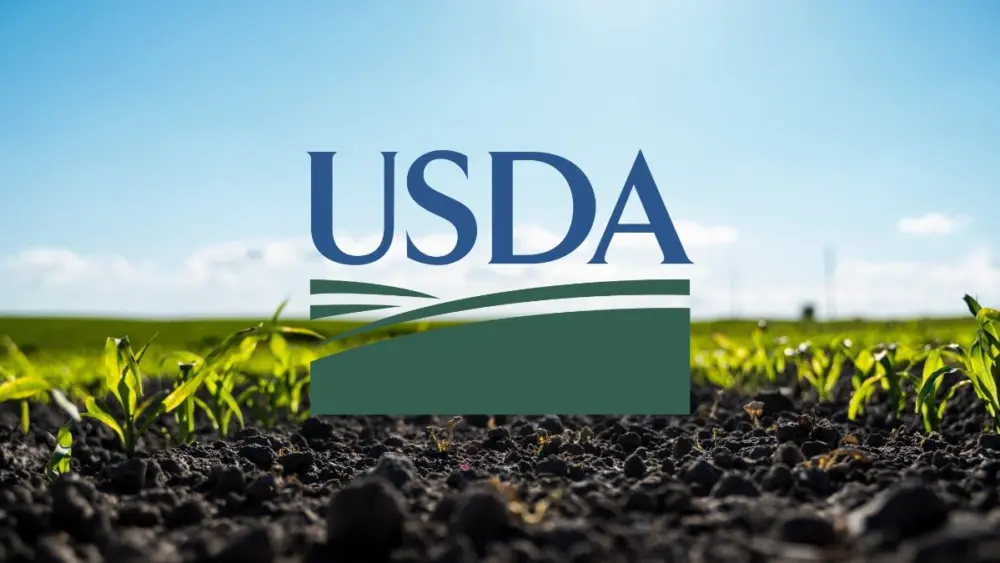 usda-corn
