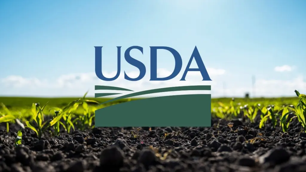 usda-corn