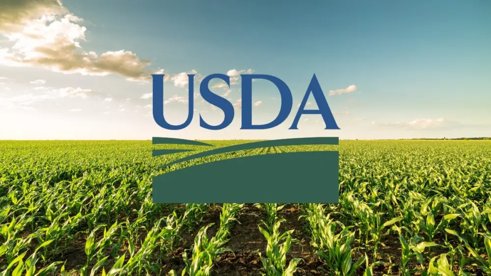 USDA: Crop Conditions Remain Strong Despite Scattered Storms Last Week