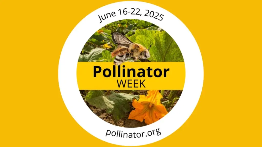 2025-pollinator-week