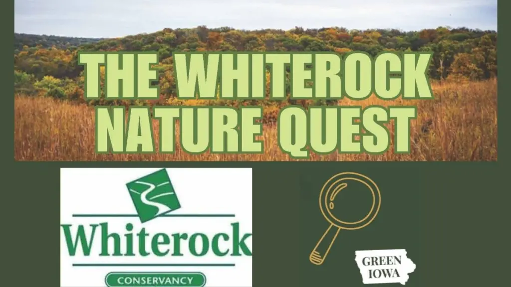 whiterock-nature-quest-2025