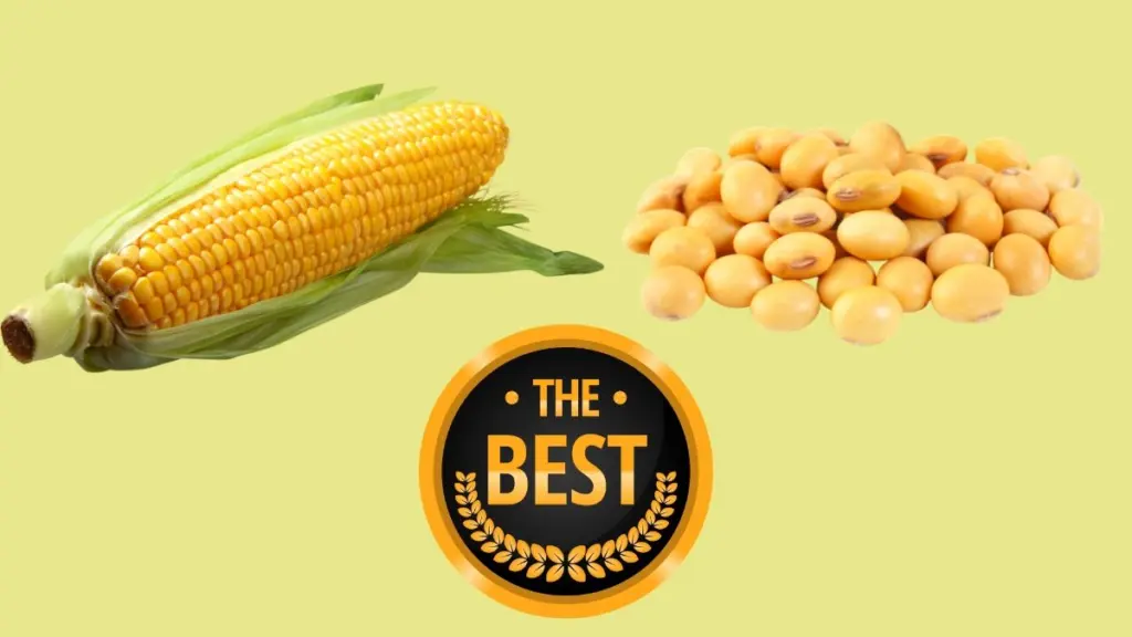 best-overall-corn-soybean-iowa-state-fair-carroll