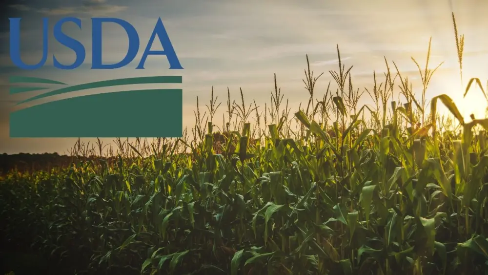 Iowa Crop Progress and Condition Report: Week Ending July 12, 2026