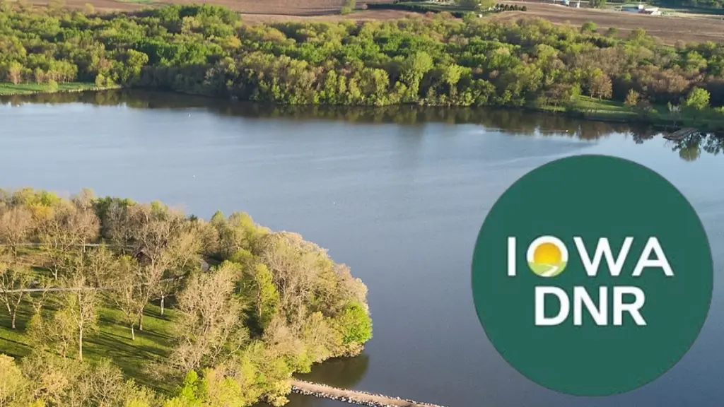 swan-lake-fish-kill-2025-08-25