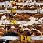 artworks-gmlzjuugpod7dpjc-rgvucq-t3000x3000525885-150x150866391-1