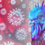 artworks-bcvbmuiecrhkjyov-eckzda-t3000x3000774389-150x150496340-1