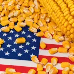 artworks-i95wzwvedorb2huu-pppr4w-t3000x3000584551-150x150462793-1