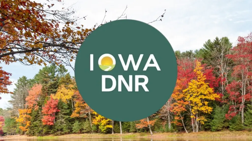 dnr-fall-color-report