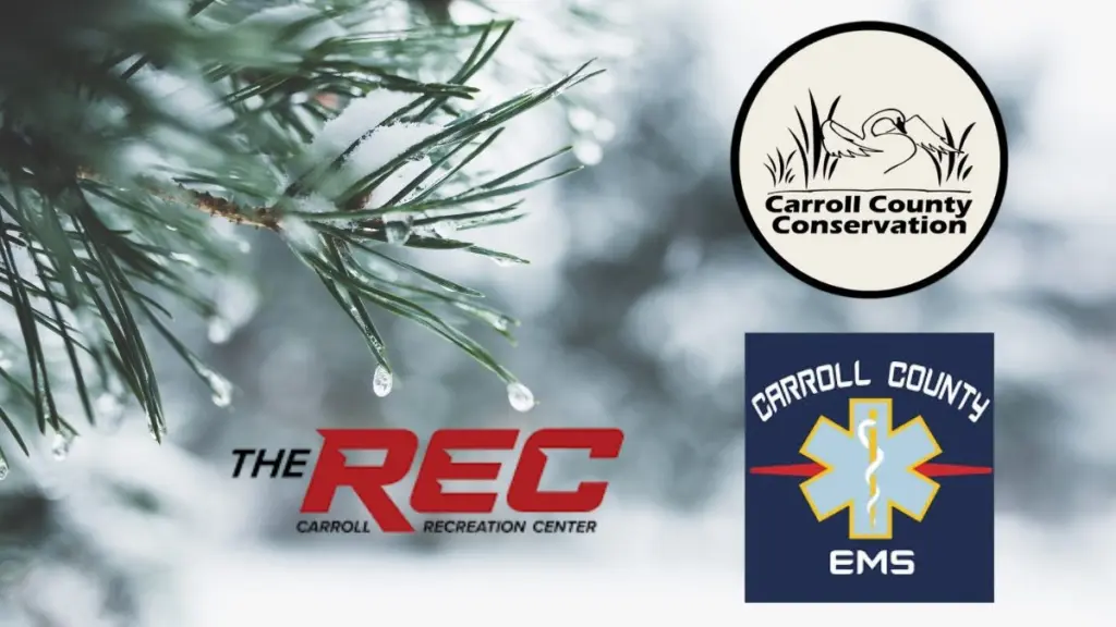 swan-lake-winter-festival