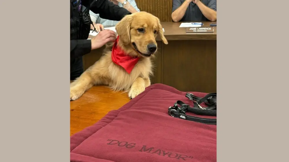 sac-city-dog-mayor-2025