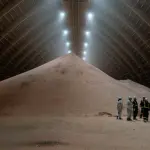 artworks-mlopfm12muj3svxl-lnvkng-t3000x3000173110-150x150462591-1