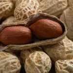 artworks-k22pudbdxohwikd8-iicazq-t3000x3000332779-150x150891501-1