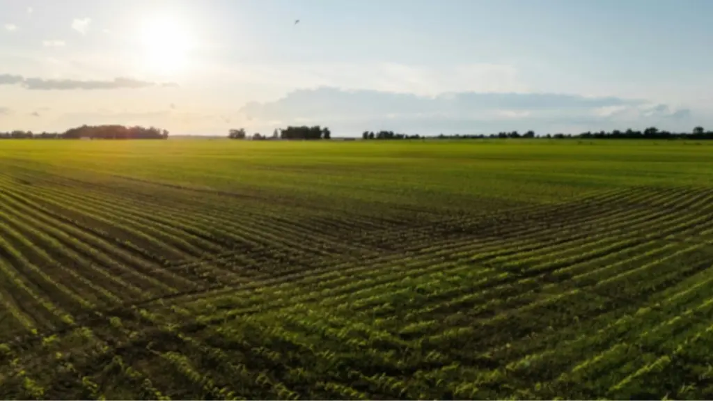 generic-farm-picture