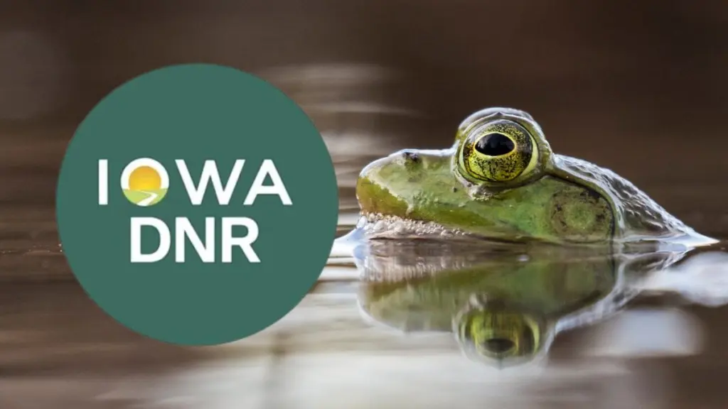 2026-frog-survey-dnr