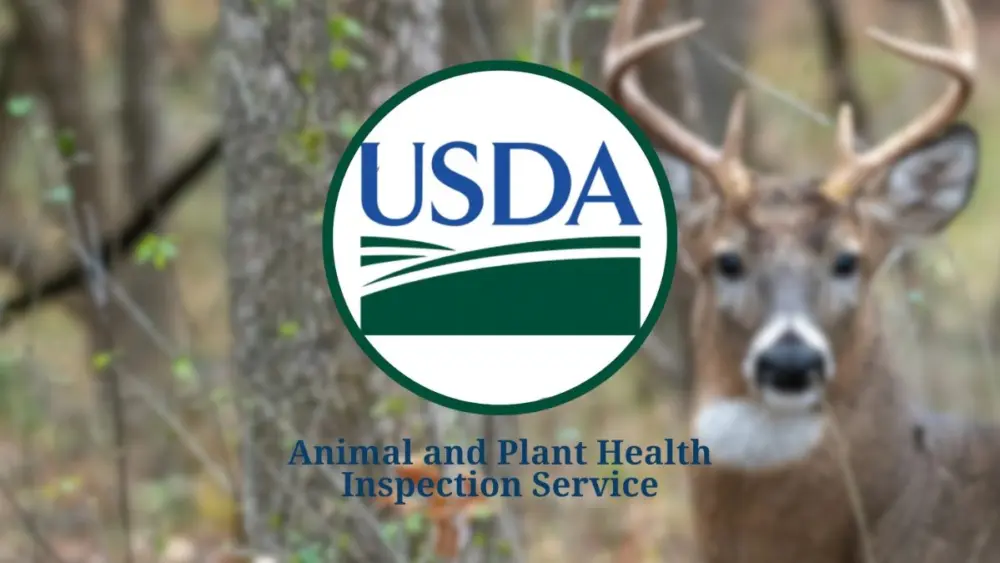usda-aphis-deer