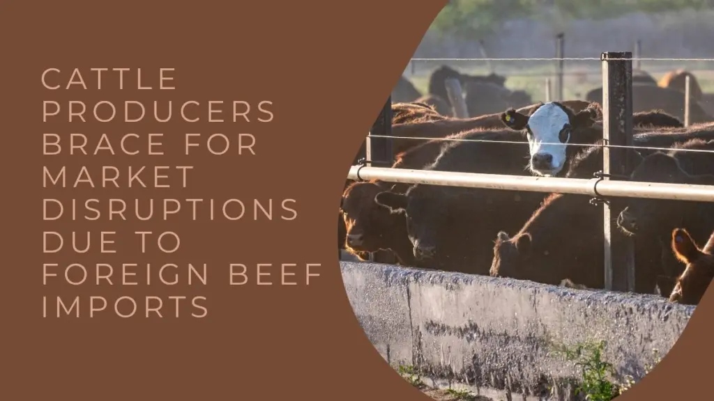 beef-imports-2026-08-24