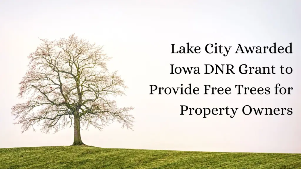 lake city trees