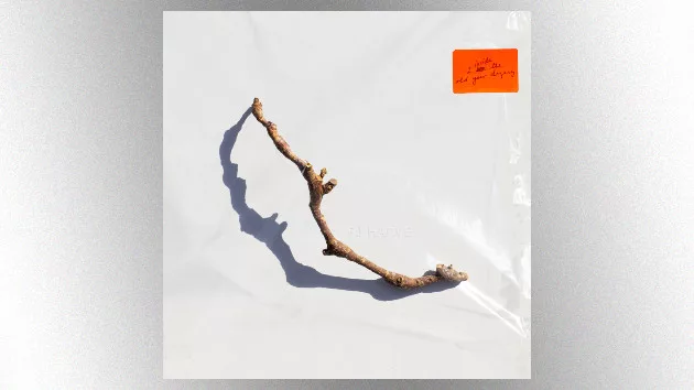 m_pjharvey_042623335257