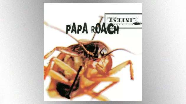 m_paparoach_061223173849